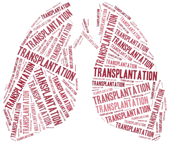 best hospitals for lung transplant